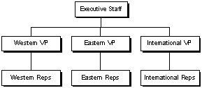 cfo hierarchy